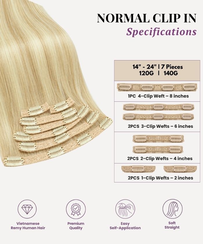 Ash Platinum Highlights (9C+60C) Classic Clip-In (120g)