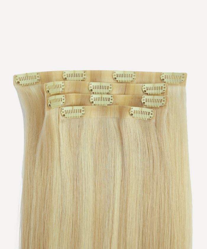 Ash Platinum Highlights (9C+60C) Seamless Clip-In (100g)